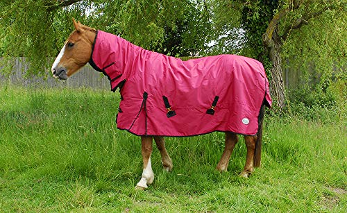 Rhinegold 30 DE König Outdoor-Teppich mit durchgehendem Hals, mittelschwer, 200 g/m², Polyfill, rot, 2,1 m Rhinegold 30 DE König Outdoor-Teppich mit durchgehendem Hals, mittelschwer, 200 g/m², Polyfill, rot, 2,1 m von Rhinegold