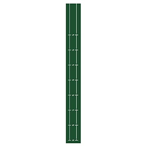 Golf-Putting-Matte, Hochwertige Flanellmatte mit TPR-Materialien, Faltbare 280 X 30 cm Große Matte mit Führungslinie für das Üben Im Innenbereich (green) von RiToEasysports