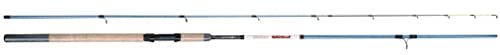 Robinson Stinger Picker Rute - Casting - Fischrute - Fishing Rod - 270 cm 30g Robinson Stinger Picker Rute - Casting - Fischrute - Fishing Rod - 270 cm 30g von Robinson