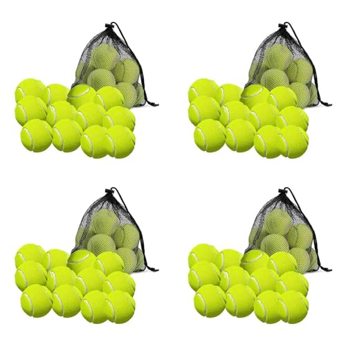 Ronlok 48 Pack Tennis BäLle mit Tasche Zur Aufbewahrung - Gute QualitäT, Dickwandige Tennis BäLle - Perfekt für Tennis und Cricket von Ronlok