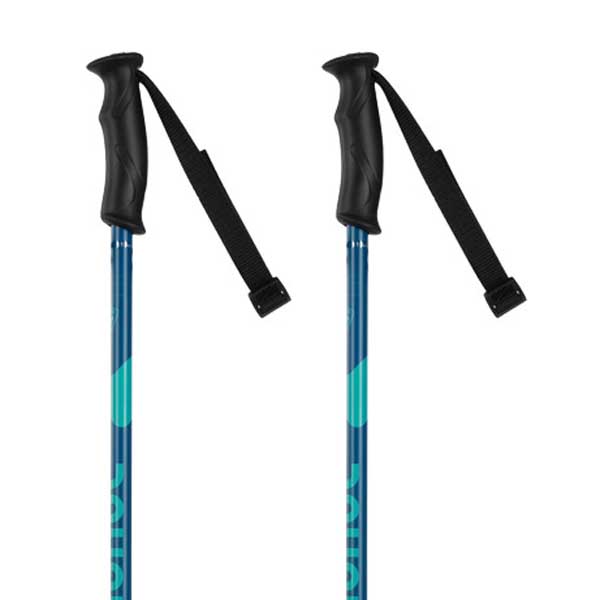 Rossignol Electra Poles Silber 115 cm Rossignol Electra Poles Silber 115 cm von Rossignol
