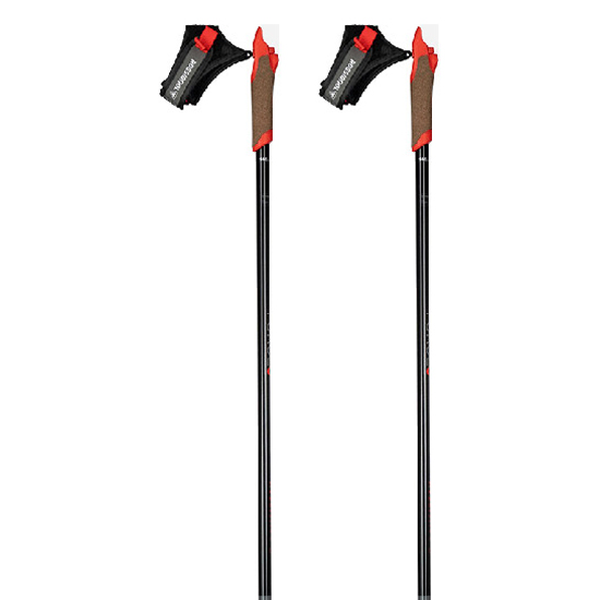 Rossignol Force 3 Poles Silber 165 cm von Rossignol