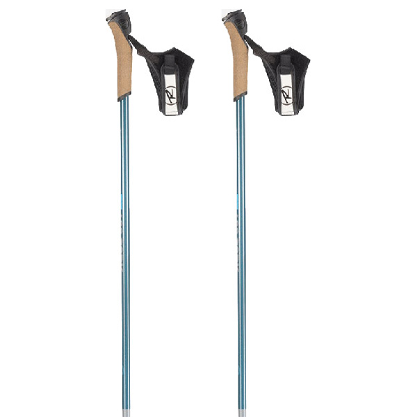 Rossignol Ft-600 Cork Poles Silber 140 cm von Rossignol