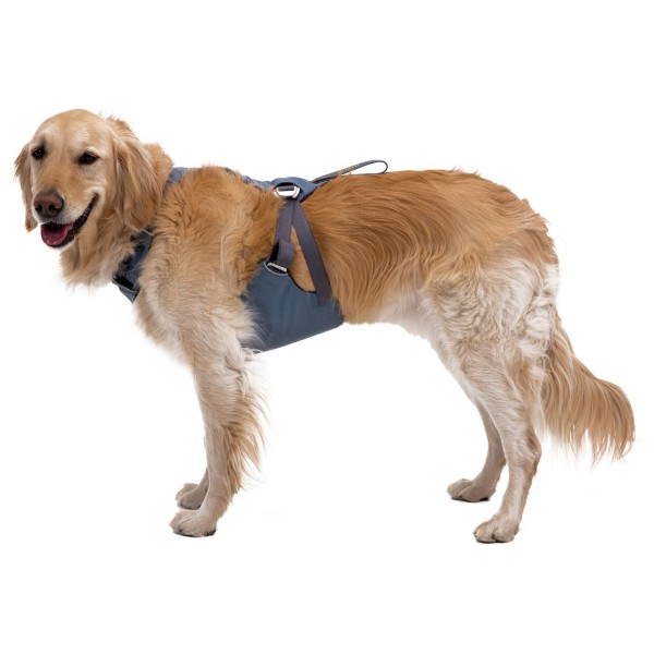 Ruffwear - Load Up Harness - Hundegeschirr Gr S blau von Ruffwear