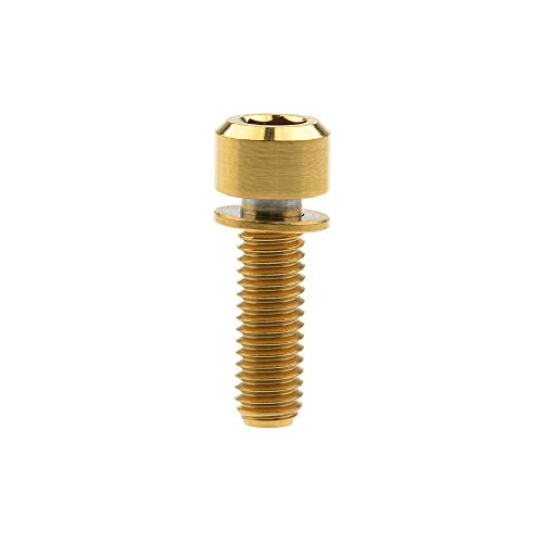 Ruifu M6 Grade 5 Titan Inbusschraube mit Unterlegscheibe 16 18 20 25 35mm für Mountainbike Fahrrad Scheibenbremse, Gold, M6x20mm Ruifu M6 Grade 5 Titan Inbusschraube mit Unterlegscheibe 16 18 20 25 35mm für Mountainbike Fahrrad Scheibenbremse, Gold, M6x20mm von Ruifu