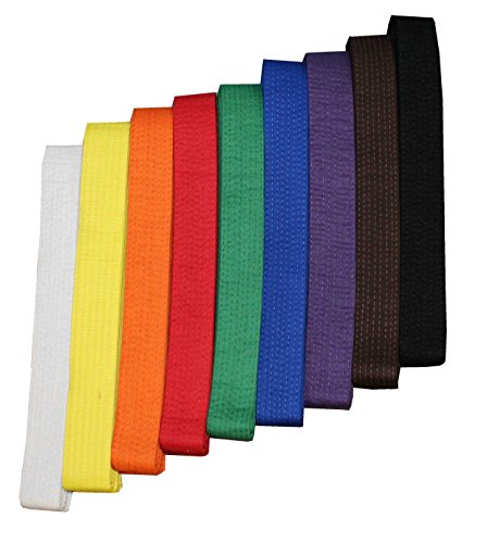 S.B.J - Sportland Budogürtel/Kampfsportgürtel orange, 200 cm S.B.J - Sportland Budogürtel/Kampfsportgürtel orange, 200 cm von S.B.J - Sportland