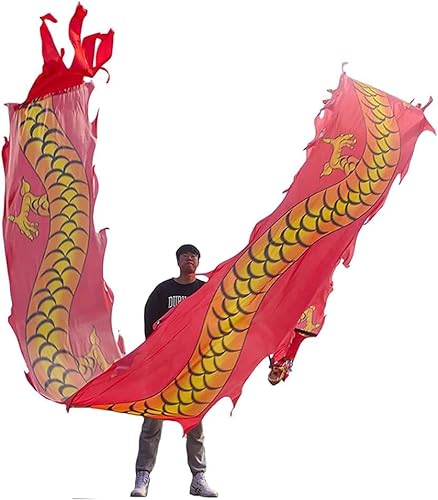 Drachentanz-Band,3D-Drachen-Streamer, Drachentanz-Band-Luftschlange mit Drachenkopf-Seide, fließend, schüttelnd, schleudernd, chinesische Drachentanz-Band-Luftschlangen(Red,6m/20f) von SAPDMBBSH