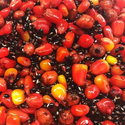 SBS Baits 5kg Red One Partikelmix - Eingelegter Mais, Tigernüsse und Hanf in SBS Red One Juice Futter Karpfen Köder Angeln SBS Baits 5kg Red One Partikelmix - Eingelegter Mais, Tigernüsse und Hanf in SBS Red One Juice Futter Karpfen Köder Angeln von SBS Baits