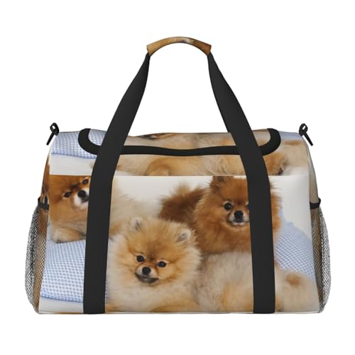 Süße Pomeranian Handheld Crossbody Reisetasche Weekender Bag Carry Travel Bag Duffle Bag Gym Bag für Männer Frauen, Schwarz , Einheitsgröße von SCAUA