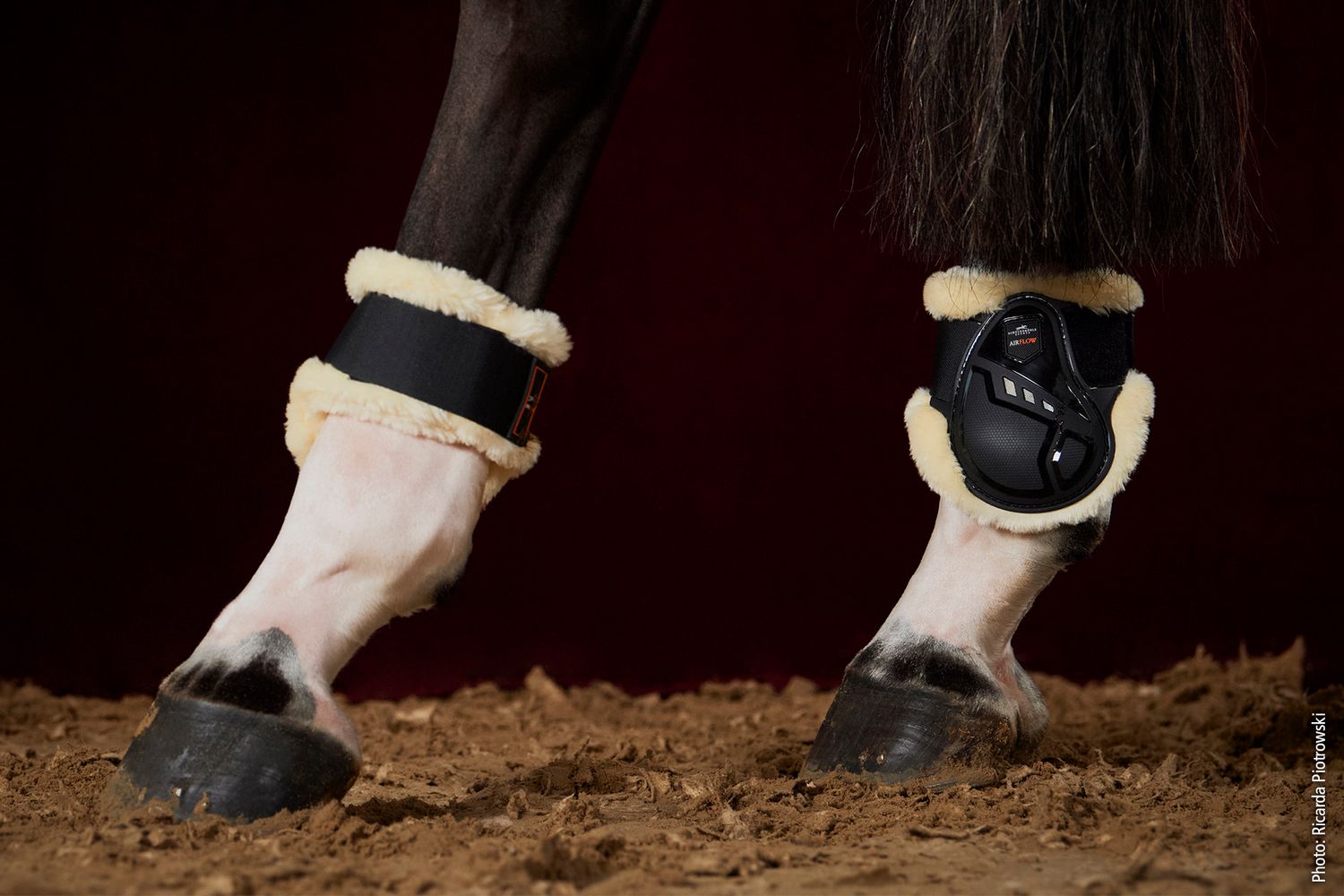 Schockemöhle Air Flow Champion Fetlock Boots Fur Streichkappen von SCHOCKEMÖHLE