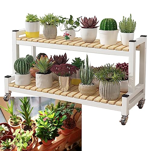 Blumenständer, Pflanzenständer, 2-stufiges und 3-stufiges Pflanzenregal für den Innenbereich, Leiter-Blumentopfhalter, Gartenregal mit Rollen, platzsparendes Aufbewahrungs-Organizer-Regal, leicht zu von SCLHouiX