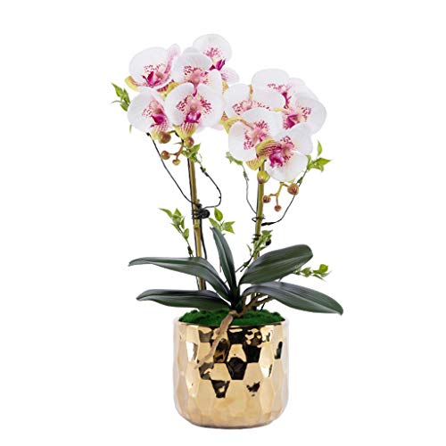 Dekor Künstliche Blumen mit Vase, künstliche Phalaenopsis-Blumen, Kunstblumen in Vase, Orchideen-Bonsai für die Dekoration von Zuhause, Wohnzimmer, Büro, weiße Kunstblumen-Arrangements, Ornamente von SCLHouiX