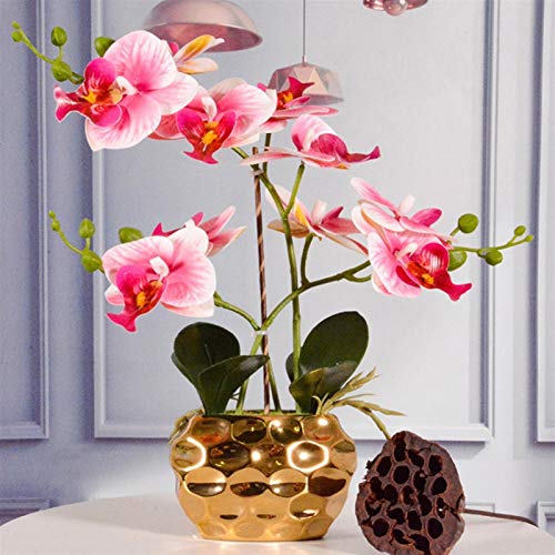 Dekor Künstliche Blumen mit Vase Künstliche Blumen mit Vase Orchidee Bonsai Gefälschte Pflanze Phalaenopsis Pflanzgefäß Für Wohnzimmer Mittelstücke Arrangements Dekoration Kunstblumen Arrangements von SCLHouiX