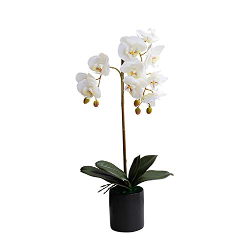 Dekor Künstliche Blumen mit Vase Künstliche Orchidee in Vase Künstliche Blumen mit Übertopf Einzelne Phalaenopsis Gefälschte Blume für Wohnzimmerarrangements Kunstblumenarrangements Ornamente von SCLHouiX