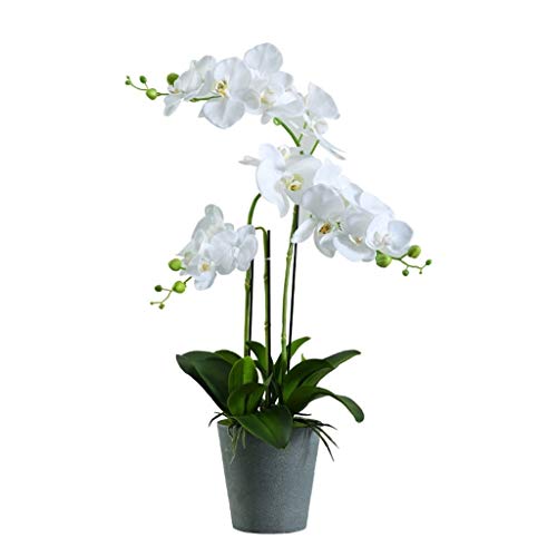 Dekor Künstliche Blumen mit Vase Phalaenopsis Weiße Seidenblumen mit Topf, Künstliche Blumen 27,5 Zoll hoch Künstliches Arrangement Gefälschte Blumen Bonsai für Heimdekoration Kunstblumen Arrangement von SCLHouiX