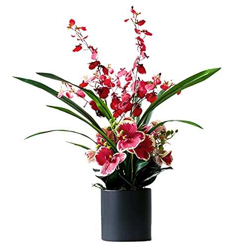 SCLHouiX Deko-Kunstblumen mit Vase, künstliche Orchidee, Kunst-Phalaenopsis-Arrangement, Blumen-Bonsai im Topf, Blumenarrangements für Zuhause, Büro, Party, Tischdekoration, Kunstblumen-Arrangements, von SCLHouiX