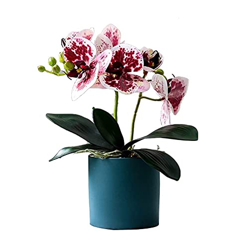 SCLHouiX Künstliches Blumen-Set, künstliche Orchidee und Blumentopf-Set, verwendet für Zuhause/Schlafzimmer/Wohnzimmer/Esszimmer-Dekoration von SCLHouiX