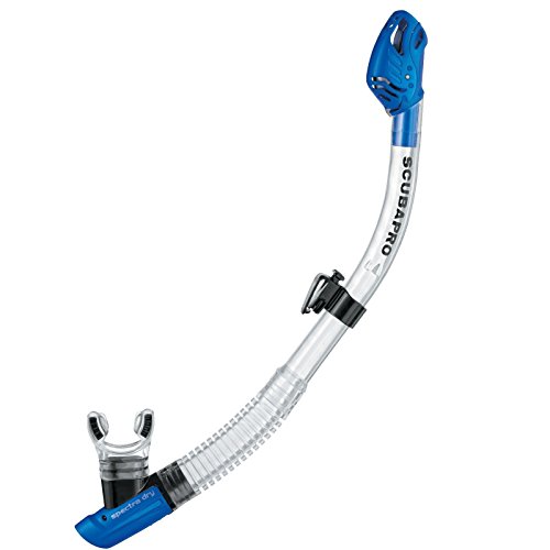 SCUBAPRO Schnorchel Spectra Dry Farbe blau SCUBAPRO Schnorchel Spectra Dry Farbe blau von SCUBAPRO