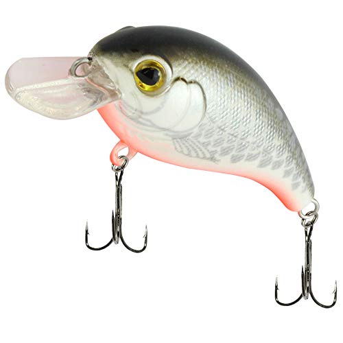 SEIKA Pro Unisex – Erwachsene 10C8900116C10 SEIKA Pr-Osaka-Wobbler Farbe: White Fish UV 4,5cm Programm von FTM, Bunt, Normal SEIKA Pro Unisex – Erwachsene 10C8900116C10 SEIKA Pr-Osaka-Wobbler Farbe: White Fish UV 4,5cm Programm von FTM, Bunt, Normal von SEIKA Pro