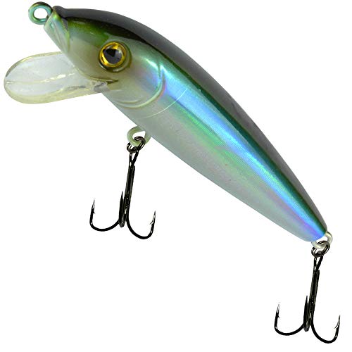 SEIKA Pro Unisex – Erwachsene 10C8900164C10 SEIKA Pr-Toki-Wobbler Farbe: Bleak 9,0cm Programm von FTM, Bunt, Normal SEIKA Pro Unisex – Erwachsene 10C8900164C10 SEIKA Pr-Toki-Wobbler Farbe: Bleak 9,0cm Programm von FTM, Bunt, Normal von SEIKA Pro