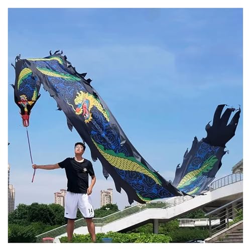 Drachentanzband， Chinesischer Drachen-Streamer-Seiden-Poi, Outdoor-Flowy-Band-Tänzer mit Schaukelseil, waschbare Fitness-Wurfbänder, Spielspielzeug,(6 m/19.6ft) von SFQEVHRZ