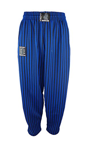 SGBB Bodybuilding Fitness Hose Gestreift Blau L SGBB Bodybuilding Fitness Hose Gestreift Blau L von SGBB