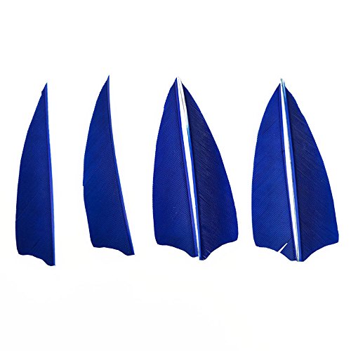 SHARROW 100 Stück Bogenschießen Naturfedern Pfeilfeder 3 Zoll Shield Cut Fletches Fletching Vanes Befiederung (Blau) von SHARROW