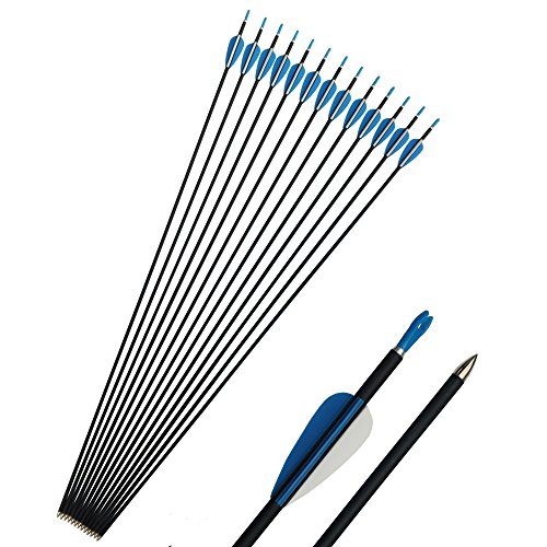 SHARROW 12 Stück Carbonpfeile 32 Zoll Carbon Pfeile Spine 1000 Zielpfeile Jagdpraxis Pfeil für Anfänger Jagdpfeile Bogenpfeile für Compound und Recurvebogen SHARROW 12 Stück Carbonpfeile 32 Zoll Carbon Pfeile Spine 1000 Zielpfeile Jagdpraxis Pfeil für Anfänger Jagdpfeile Bogenpfeile für Compound und Recurvebogen von SHARROW