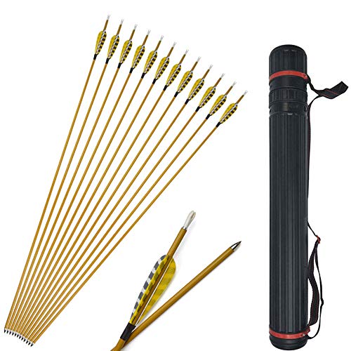 SHARROW 12pcs Carbonpfeile 31 Zoll mit Naturfedern Carbon Pfeile für Bogen Kohlenstoff Pfeil mit Truthahnfeder Spine 900 Bogenpfeile Zielübungspfeile für Compound und Recurvebogen (Gelb&Weiß+Köcher) SHARROW 12pcs Carbonpfeile 31 Zoll mit Naturfedern Carbon Pfeile für Bogen Kohlenstoff Pfeil mit Truthahnfeder Spine 900 Bogenpfeile Zielübungspfeile für Compound und Recurvebogen (Gelb&Weiß+Köcher) von SHARROW