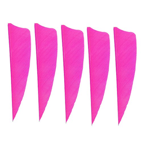 SHARROW 50 Stücke Bogenschießen Pfeile Federn 3 Zoll 4 Zoll 5 Zoll Echte Jagdpfeile Befiederung Natürliche Federn für Pfeile Bogenschießen Pfeil Vane für Jagd DIY Pfeile Carbonpfeile (Rosa, 4 Zoll) SHARROW 50 Stücke Bogenschießen Pfeile Federn 3 Zoll 4 Zoll 5 Zoll Echte Jagdpfeile Befiederung Natürliche Federn für Pfeile Bogenschießen Pfeil Vane für Jagd DIY Pfeile Carbonpfeile (Rosa, 4 Zoll) von SHARROW