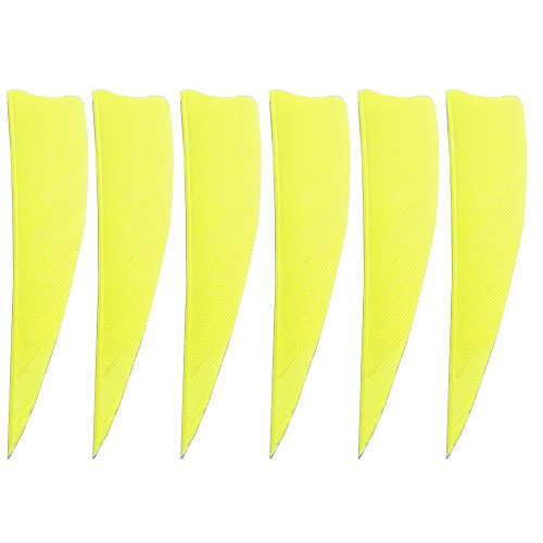 SHARROW 50 pcs Bogenschießen Pfeile Federn 3 Zoll 4 Zoll 5 Zoll Echte Jagdpfeile Befiederung Natürliche Federn für Pfeile Bogenschießen Pfeil Vane für Jagd DIY Pfeile Carbonpfeile (Hellgelb, 4 Zoll) SHARROW 50 pcs Bogenschießen Pfeile Federn 3 Zoll 4 Zoll 5 Zoll Echte Jagdpfeile Befiederung Natürliche Federn für Pfeile Bogenschießen Pfeil Vane für Jagd DIY Pfeile Carbonpfeile (Hellgelb, 4 Zoll) von SHARROW