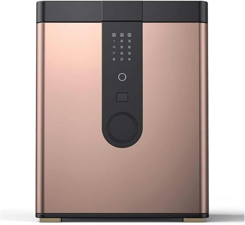 SHGDAIO Steel Home - Boxen mit Passwort und digitalem Fußabdruck für Digitale Sicherheit zu Hause, Fernalarm, Batterieerinnerung, 380 x 320 x 450 mm von SHGDAIO