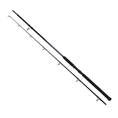 Rod Beastmaster Catfish Lure Rod Beastmaster Catfish Lure von SHIMANO