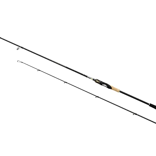Sustain BX Spin, Angelrute, 2,42m, 3-14g, SSUSBX711LMFC Sustain BX Spin, Angelrute, 2,42m, 3-14g, SSUSBX711LMFC von SHIMANO
