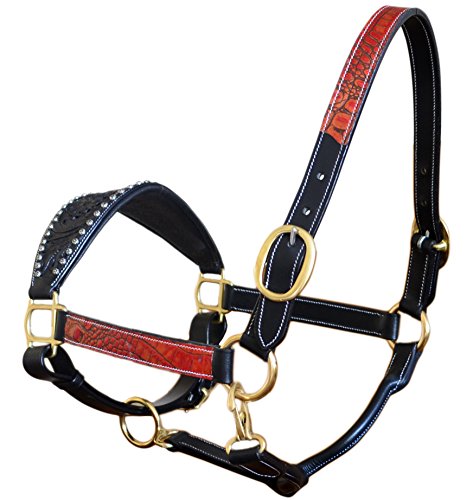 Rot Alligator Print BRONC USA Leder Pferd Fusion Halfter, Cob Rot Alligator Print BRONC USA Leder Pferd Fusion Halfter, Cob von SIE EQUESTRIAN