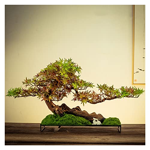 SJZWCHQ Moisture Faux Bonsai Home Decor Simulierte Willkommen Kiefer Bonsai Veranda Wohnzimmer Dekoration Indoor Pseudopotted Green Plant Tabletop Ornamente Geschenke Desktop Topfbaum (Farbe: B) von SJZWCHQ