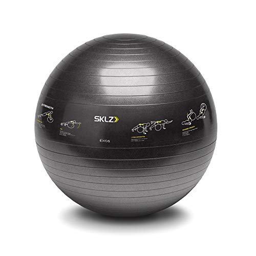 SKLZ TRAINERball Sport Performance (65cm) -Gymnastikball mit Übungen, schwarz, One Size SKLZ TRAINERball Sport Performance (65cm) -Gymnastikball mit Übungen, schwarz, One Size von SKLZ