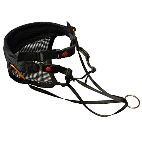 SLEDWORK CaniX Belt G2 Light | Wettkampf erprobt | SWCXBG2 | schwarz/schwarz | Größe:XL SLEDWORK CaniX Belt G2 Light | Wettkampf erprobt | SWCXBG2 | schwarz/schwarz | Größe:XL von SLEDWORK