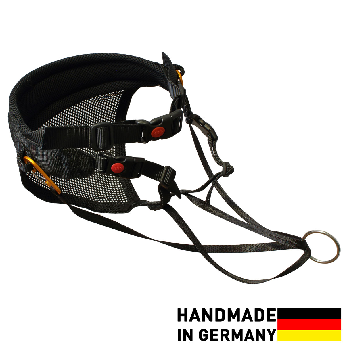 SLEDWORK CaniX Belt G2 light schwarz | SWCXBG2 SLEDWORK CaniX Belt G2 light schwarz | SWCXBG2 von SLEDWORK