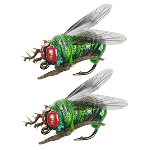 Fliegenfischen Trockenfliegen realistische Käferköder künstliche Nymphe Scud Köder 2 Stück Angelausrüstung von SMELEYOU