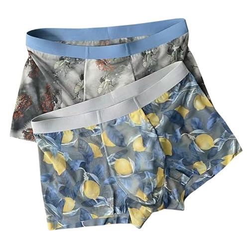 Herrenunterwäsche 2/3 Stücke Herren Blumenboxer-Slips Ultradünne Mesh Ice Seide U-Förmige Konvexe Taschen-Slips-02-2Pcs-4Xl von SMMZRF