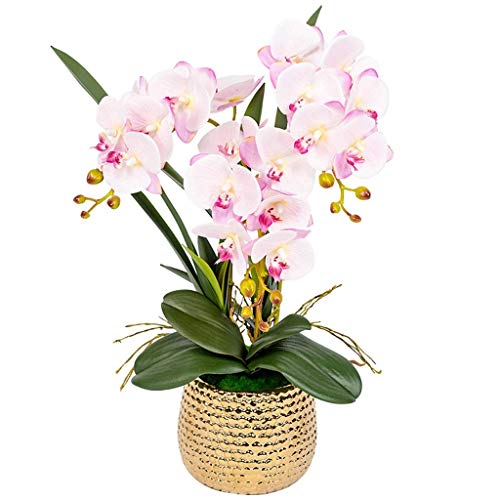 SNHHNSW Kunstblumen Set, Kunstblumen Phalaenopsis mit Übertopf Künstliche Orchidee in Vase Gefälschte Blume für Wohnzimmer Schöne Kunstblumen und Vasen von SNHHNSW