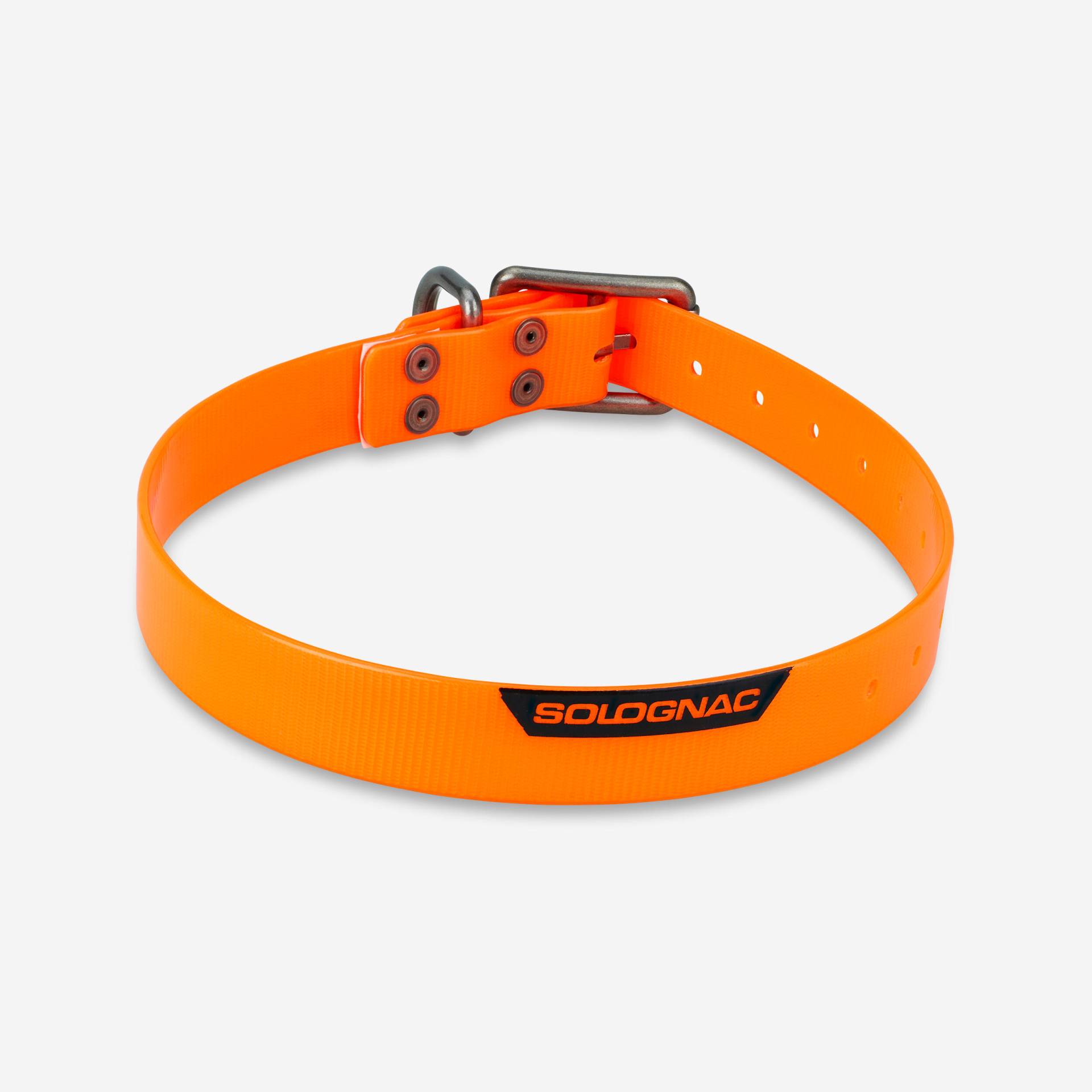 Hundehalsband 500 orange von SOLOGNAC