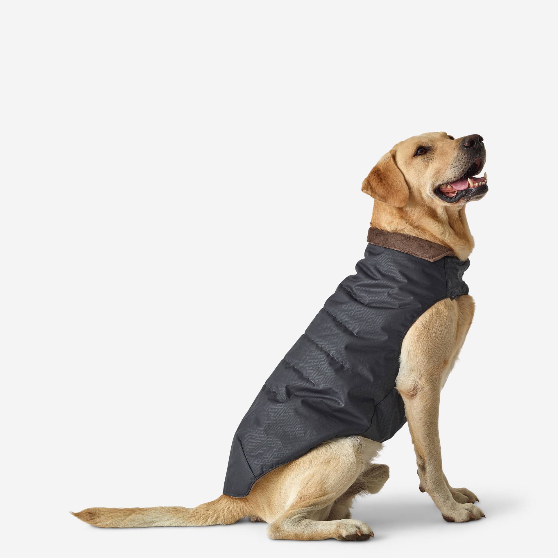 Hundeweste warm grau Hundeweste warm grau von SOLOGNAC