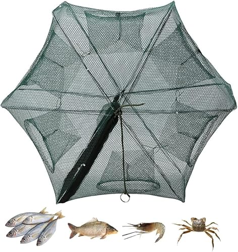 SOONHUA Köderfischreuse Faltbare Fischernetz 6/12 Löcher Automatische Fischernetz Landefalle Gegossen Dip Käfig Fisch Garnelen Elritze Krebse Krabben Köder Mesh Falle für Angeln SOONHUA Köderfischreuse Faltbare Fischernetz 6/12 Löcher Automatische Fischernetz Landefalle Gegossen Dip Käfig Fisch Garnelen Elritze Krebse Krabben Köder Mesh Falle für Angeln von SOONHUA
