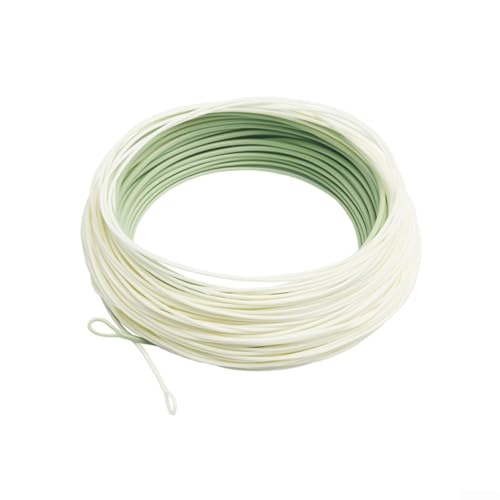 WF6F WF10F Professionelles Fliegenfischen, Nylon-Material, WF6F WF10F, 30,5 m, Grün/Cremefarben von SPORTARC