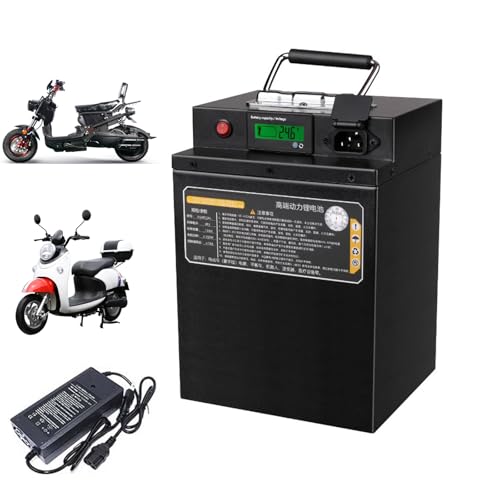 SSCYHT 48-V-LiFePO4-Akku, Lithium-Ionen-Akku, 48 V, 15 Ah, 17 Ah, 22 Ah, 28 Ah, 35 Ah, 38 Ah, E-Bike-Akkupack mit Ladegerät und Kabel für 250 W-1800 W E-Bike-Motor-Umrüstsatz,48v15ah von SSCYHT