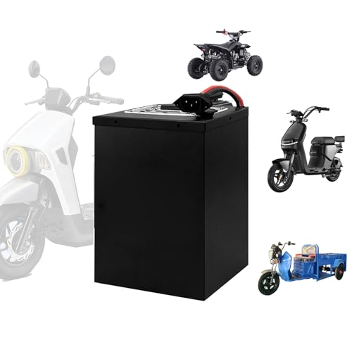 SSCYHT 60 Volt Motorradbatterie 60 V 16 Ah 18 Ah 20 Ah 25 Ah 30 Ah 45 Ah 50 Ah Lithium-Akkupack LiFePO4-Akku für 0-3000 W Moped-Fahrrad-Dreiradmotor,60v20ah von SSCYHT