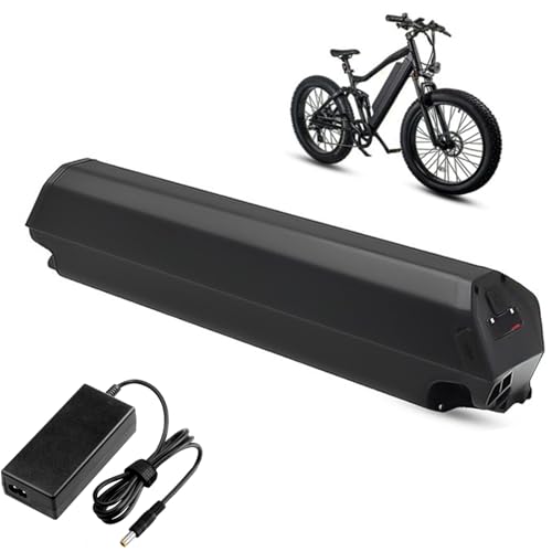 SSCYHT E-Bike-Akku 48 V 10,4 Ah 13 Ah 15 Ah 17 Ah Lithium-Ionen-Akku Ersatzakkupack mit 2 A Ladegerät für 0–850 W Mountainbike-Motor-Umrüstsatz,48v17ah von SSCYHT