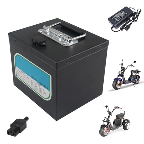 SSCYHT Motorradbatterie 48 V 20 Ah Elektrofahrradbatterie 48 V Lithium-Akkupack mit Ladegerät und BMS für 1000 W Motor Elektro-Dreirad-Fahrrad-Moped-Batterie von SSCYHT